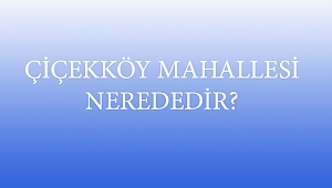 ÇİÇEKKÖY MAHALLESİ NEREDEDİR?