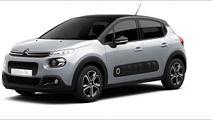 Cıtroën, Paris Otomobil Fuarı'nda İki Konsept Modelinin Müjdesini Verdi