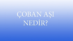ÇOBAN AŞI NEDİR?