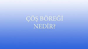 ÇÖŞ BÖREĞİ NEDİR?