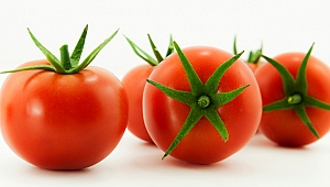 EİB ihracatında Eylül bereketi