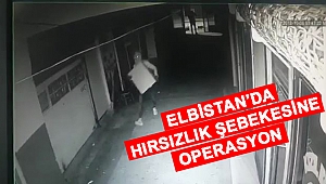 ELBİSTAN'DA HIRSIZLIK ŞEBEKESİNE OPERASYON