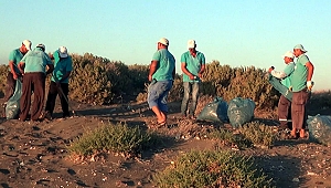 Hatay'da deniz ve sahiller çöpten temizlendi