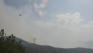 Hatay'da Orman Yangını