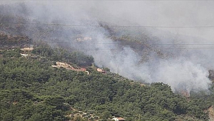  Hatay'da orman yangını 