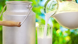 Her yaş grubu için sağlıklı yaşamın sırrı: Süt