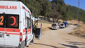 Kahramanmaraş'ta ağaçtan düşen kişi öldü