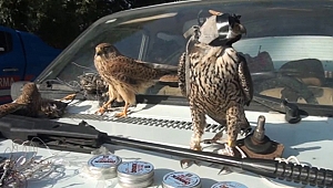 Kahramanmaraş'ta iki kişiye 40 bin 707 lira para cezası uygulandı