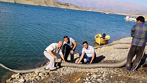 KAHRAMANMARAŞ’TA YÜZBİNLERCE YAVRU BALIK BARAJ GÖLÜNE BIRAKILDI