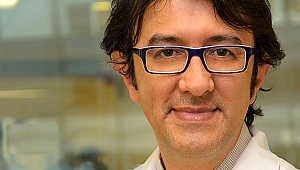 KANSER TEDAVİSİNDE GENETİK HARİTALAMA DÖNEMİ