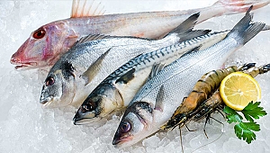 Ortadoğu'nun balığı Doğu Akdeniz'den