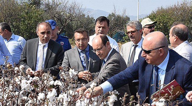 Özel gübreyle pamukta verim yükseldi