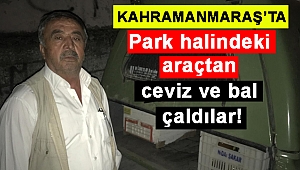 Park halindeki araçtan ceviz ve bal çaldılar!