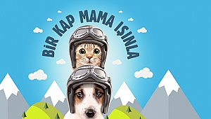 Scotty Sokak Hayvanları İçin Bir Kap Mama Işınlıyor