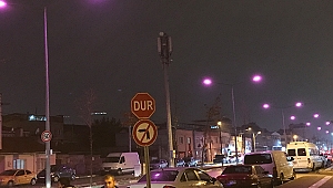 SOKAK LAMBALARI MEME KANSERİ İÇİN PEMBE YANDI