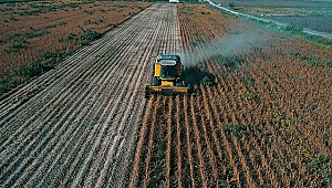 Soya verimi ve fiyatıyla çiftçiyi sevindirdi