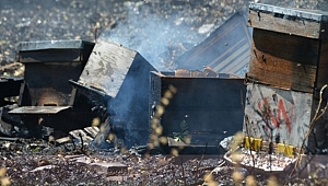 Tarsus’ta arı kovanları yandı