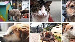 Tekzen’den patili dostlara destek