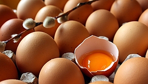 Yumurta yara iyileşmesine yardımcı