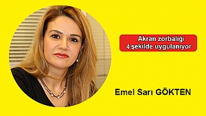 Akran zorbalığı 4 şekilde uygulanıyor