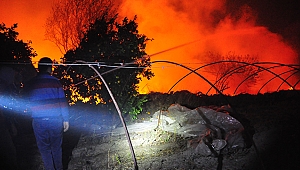  Antalya'da orman yangını