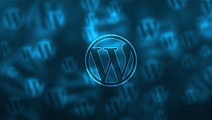 BİNLERCE WORDPRESS SİTESİNDE TEHLİKELİ AÇIK