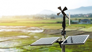 BİNLERCE YILLIK MİRASIN KÜLTÜRÜ OLAN ZEYTİNDEN ELDE EDİLEN VERİM, AKILLI TARIM TEKNOLOJİLERİ İLE BİRLİKTE ARTIYOR!