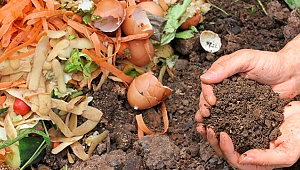 Çöpteki Siyah Altın