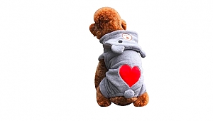 Evcil hayvanlarınız için yeni yıl hediyeleri n11.com’da