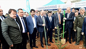 FİDANLAR FİDANLARLA BÜYÜYECEK