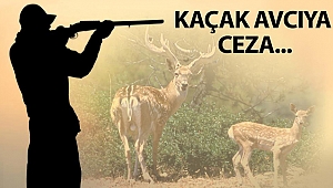Hatay'da Kaçak Avcılara Para Cezası