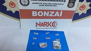 Kadın Torbacı Yakayı Ele Verdi!