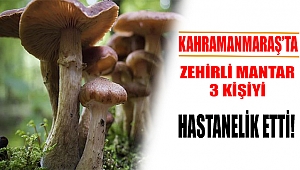 Kahramanmaraş'ta 3 Kişi Mantardan Zehirlendi