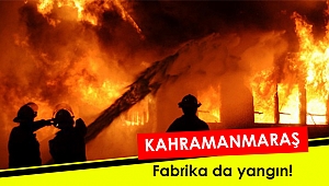 Kahramanmaraş'ta fabrika yangını