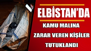 Kamu Malına Zarar Veren Kişiler Tutuklandı