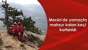 Mersin'de yamaçta mahsur kalan keçi kurtarıldı