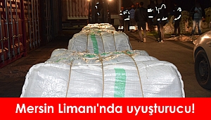 Mersin Limanı'nda 3 milyon 126 bin uyuşturucu hap ele geçirildi