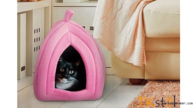 Petshop kategorisinde en çok kediler için alışveriş yapılıyor