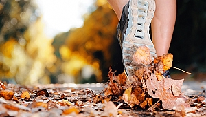 SPOR YAPMAK DAMAR SAĞLIĞINA İYİ GELİYOR