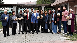 Tarsus Belediye tesislerinde ilk istiridye mantarı hasadı