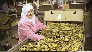 Tütün sektöründe tek tip paket ve kapalı dolap krizi