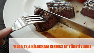 YILDA 12,4 KİLOGRAM KIRMIZI ET TÜKETİYORUZ