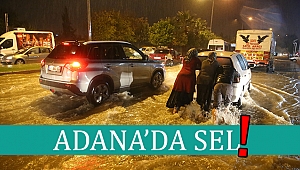 Adana da sel