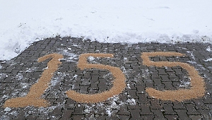 Afşin'de kuşlar için buğday bırakıldı