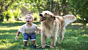 Ailesi Tarafından Sevilen Çocuk Diğer Canlıları Da Seviyor