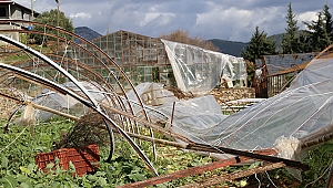Antalya'da hortum ve fırtına tarım alanlarına zarar verdi