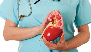 BÖBREKLERİ KORUMANIN 8 YOLU