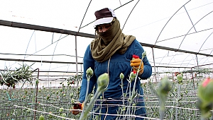 Çiçekçilerin 2019 ihracat hedefi 125 milyon dolar