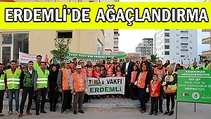 Erdemli de ağaçlandırma