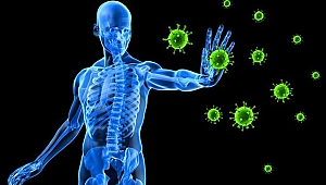 Güçlü bağışıklık sistemi için çok değil, yeterli beslenmek önemli